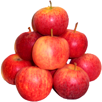 MAÇA FUJI KG