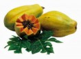 MAMÃO PAPAYA 